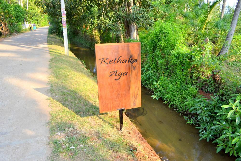 Kethaka Aga Hotell Tissamaharama Exteriör bild